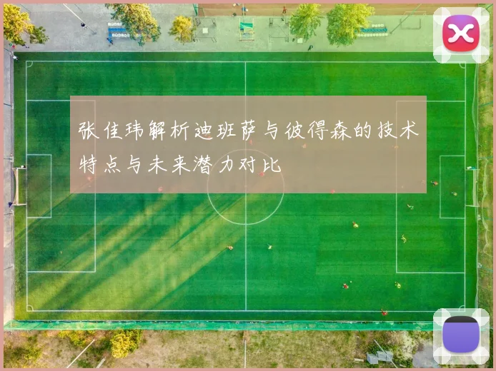 张佳玮解析迪班萨与彼得森的技术特点与未来潜力对比