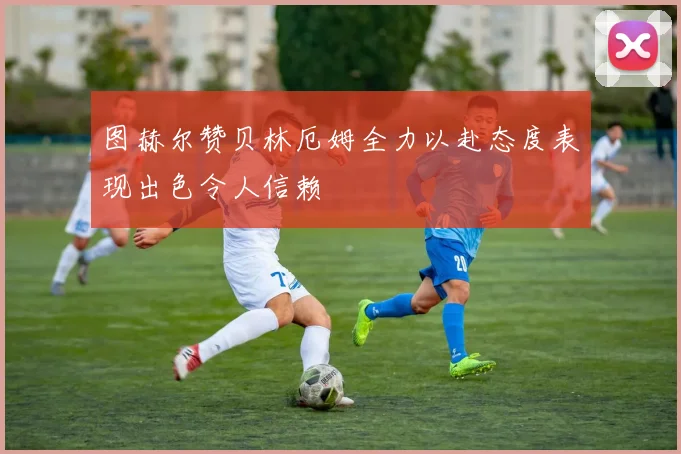 图赫尔赞贝林厄姆全力以赴态度表现出色令人信赖