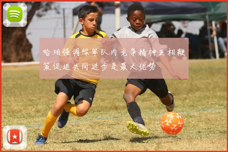 哈珀强调绿军队内竞争精神互相鞭策促进共同进步是最大优势